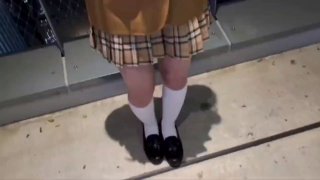 固始人才网高铁厕所操双马尾学妹